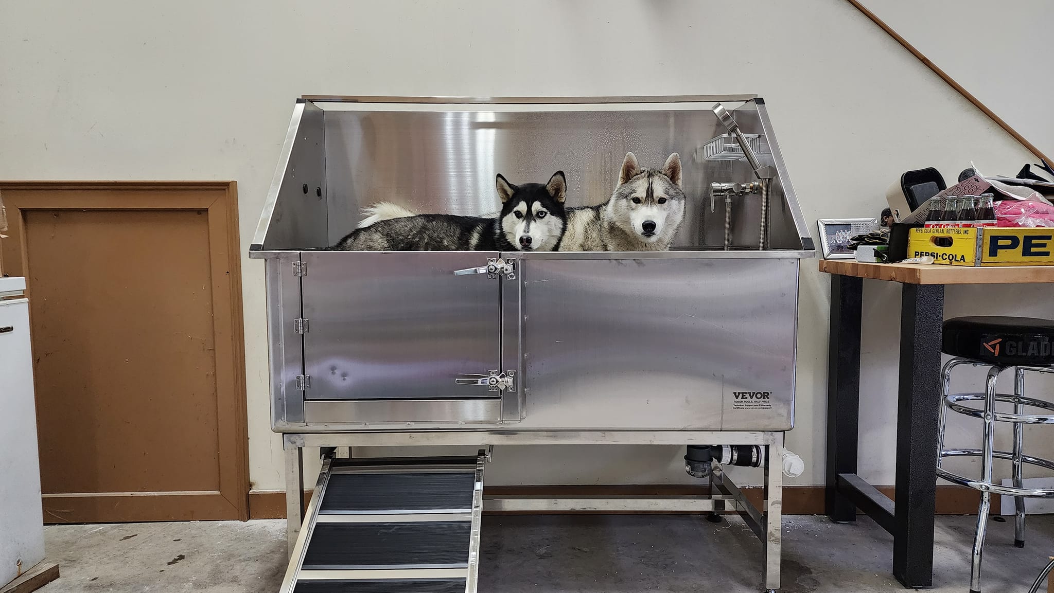 Dog washing station installation